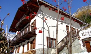 AMPIO APPARTAMENTO IN VILLETTA *SULLE PISTE* AMPIO APPARTAMENTO IN VILLETTA *SULLE PISTE*