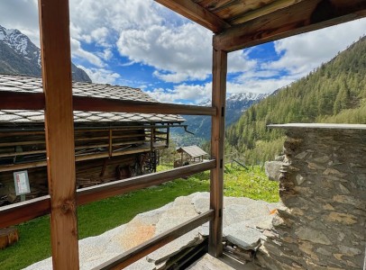 IMG_0703