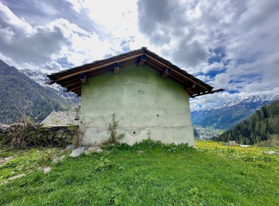IMG_0720